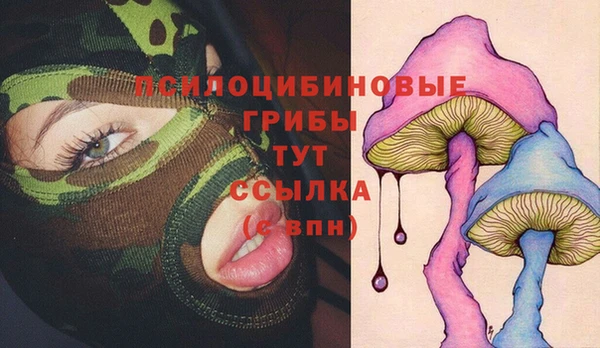 стаф Абинск