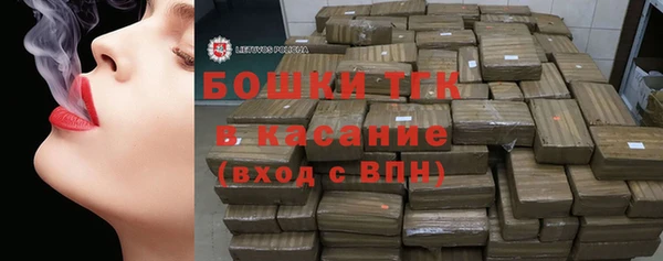 стаф Абинск
