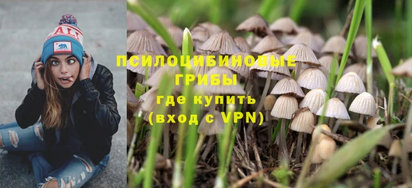 Альфа ПВП Абаза